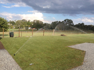 16-Sprinklers-on-new-turf-1