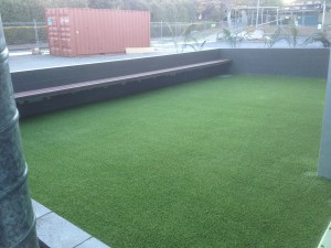 Artificial Turf/Synthetic Grass